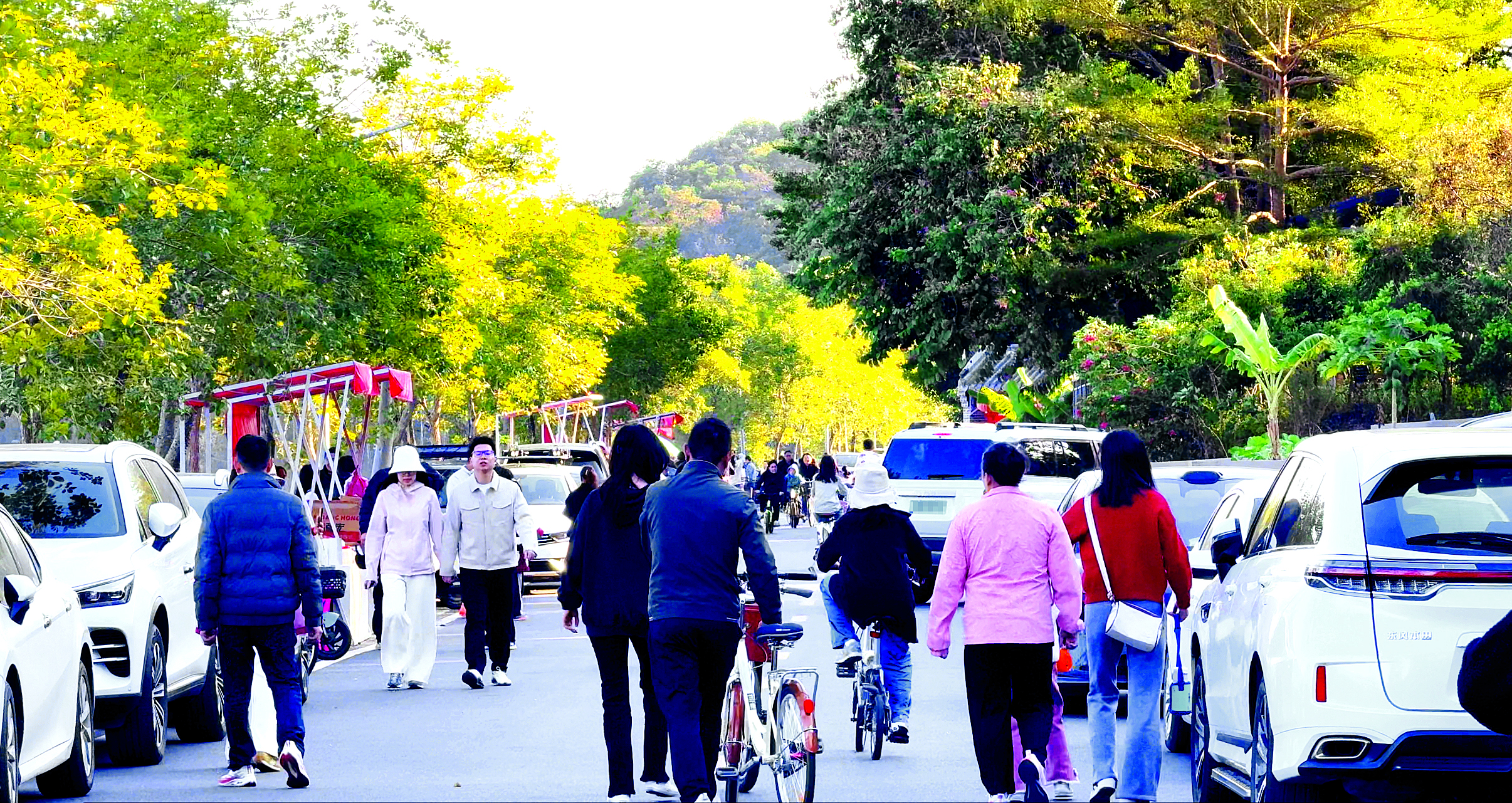     前往显岗水库绿道游人如织。惠州日报记者李燕文 摄