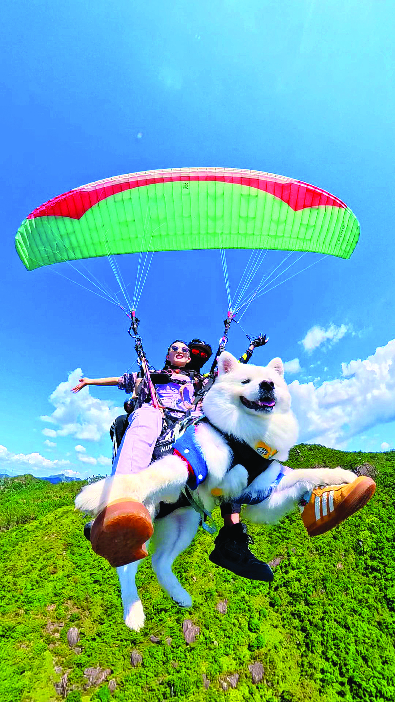 <p>    惠东巽寮湾滑翔伞项目吸引不少游客前来体验“空中漫步”的乐趣。 惠州市长弘户外运动有限公司供图</p>