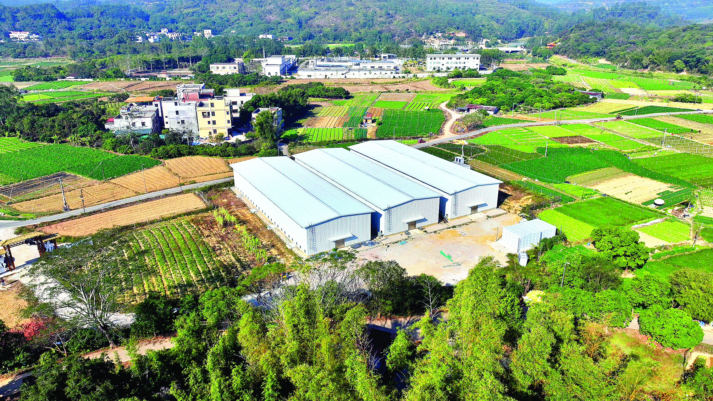     智能化生产厂房为食用菌的种植带来更科学更高效的技术。