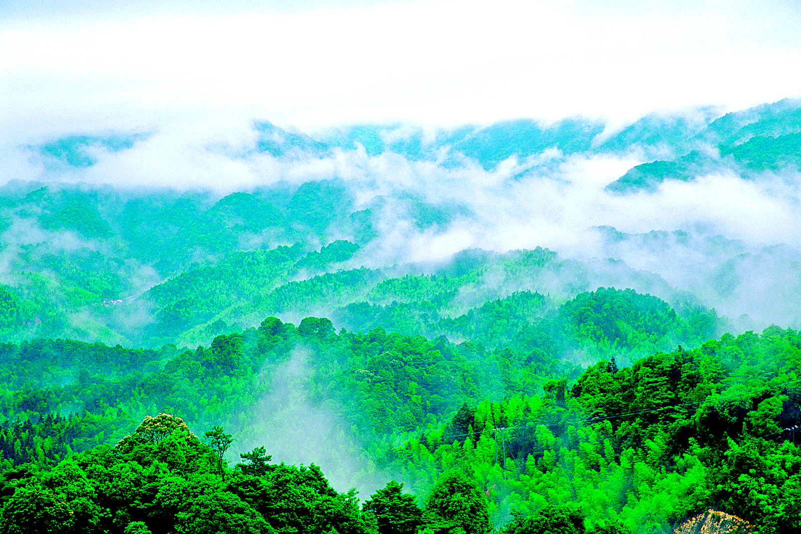     龙门县南昆山风光。惠州东江图片社供图