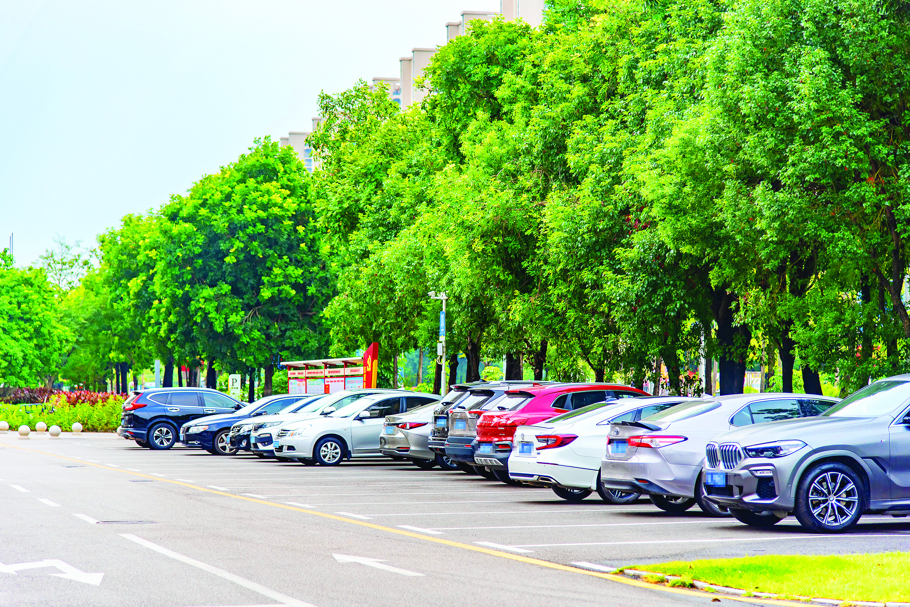     惠城区美丽洲花园停车场规范有序。