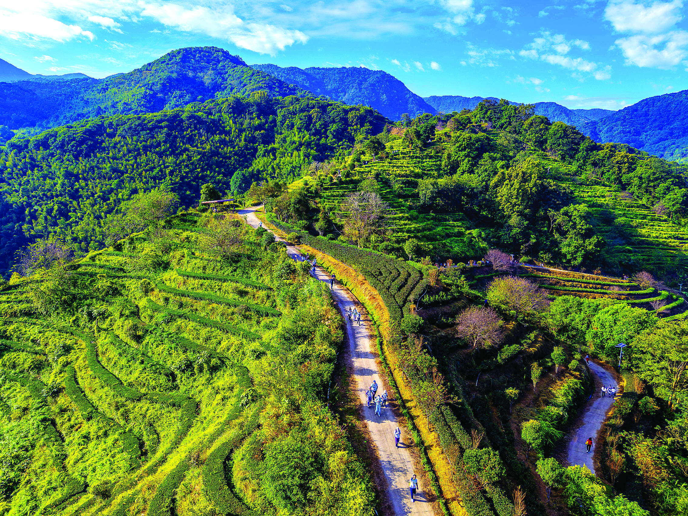     博罗泰美象头山活动吸引户外爱好者与亲子家庭参与。