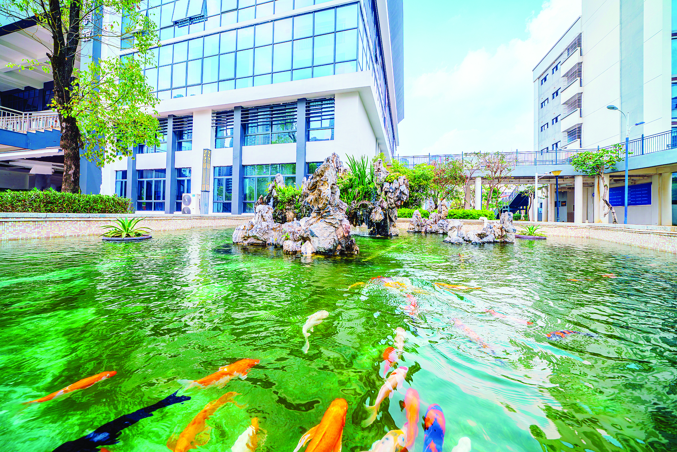     学校着力打造既承载人文温度、又彰显时代智能的现代化学习空间。