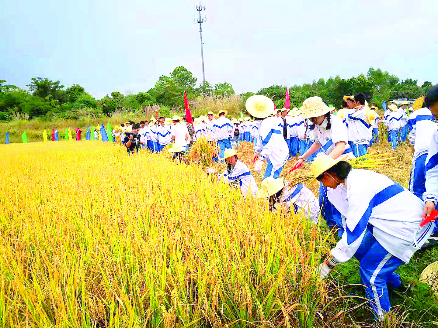     学校以“劳动创造幸福”为主题开展劳动教育月系列活动。