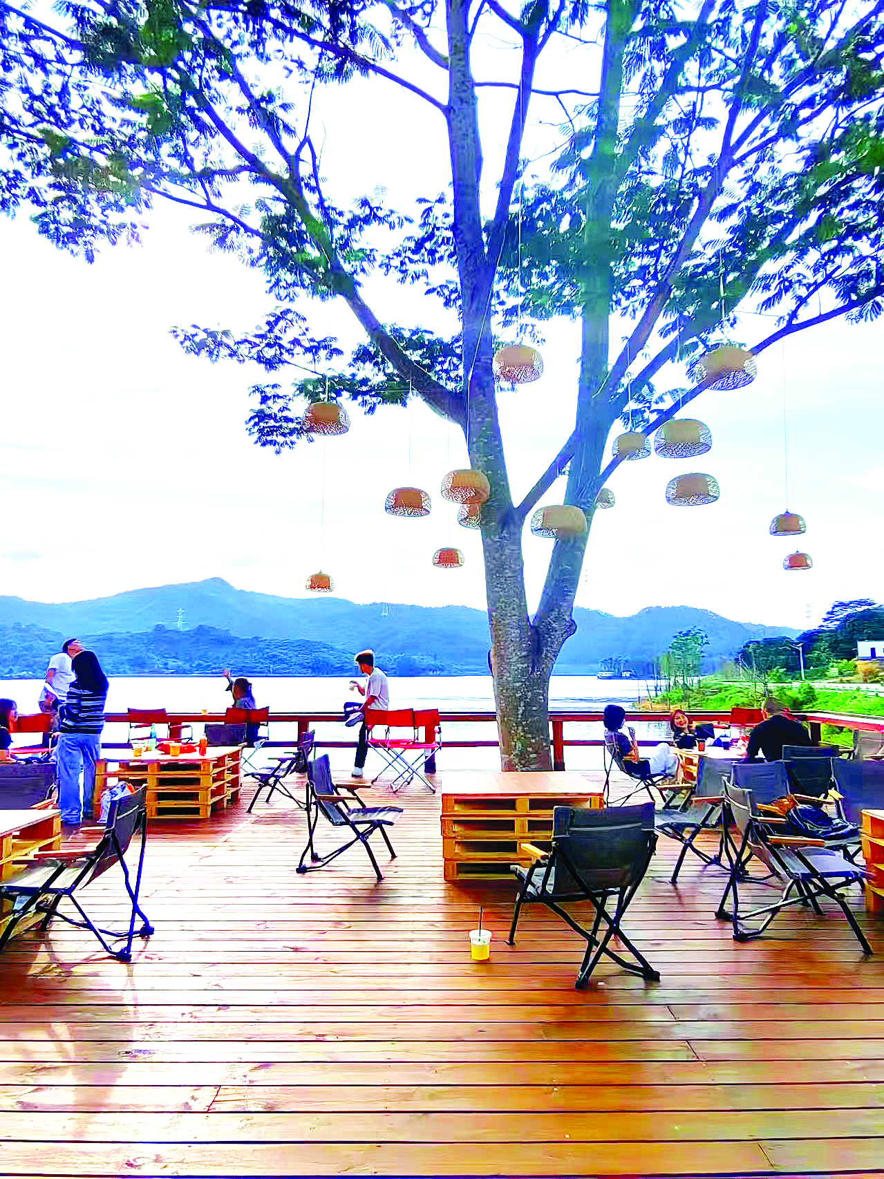     良井镇时化村“良井之丘”森林营地。