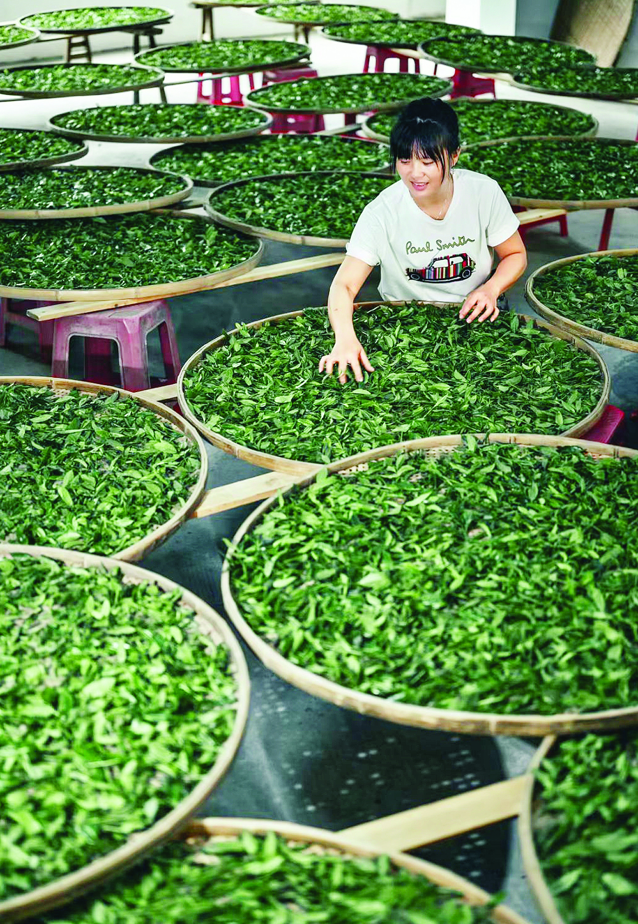     潘光美在制茶。图片由受访者提供