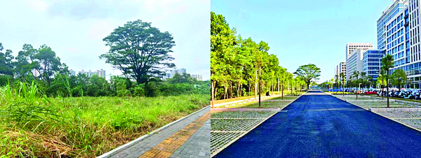     仲恺高新区惠环街道街区公园整治后。