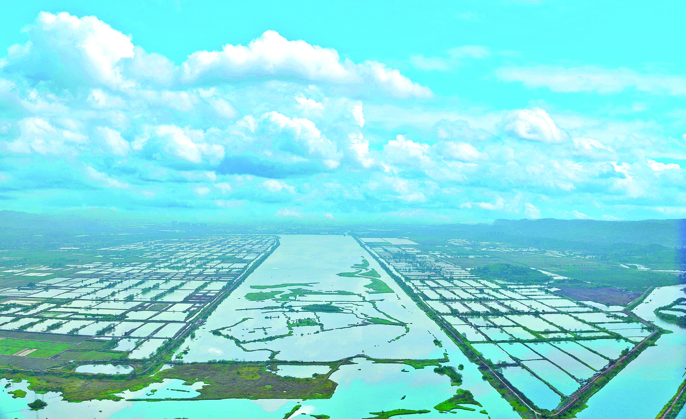     潼湖湿地是岭南地区唯一的天然通江淡水湖泊。本组图片 惠州日报记者邱舒婷 通讯员陈丹芝 摄