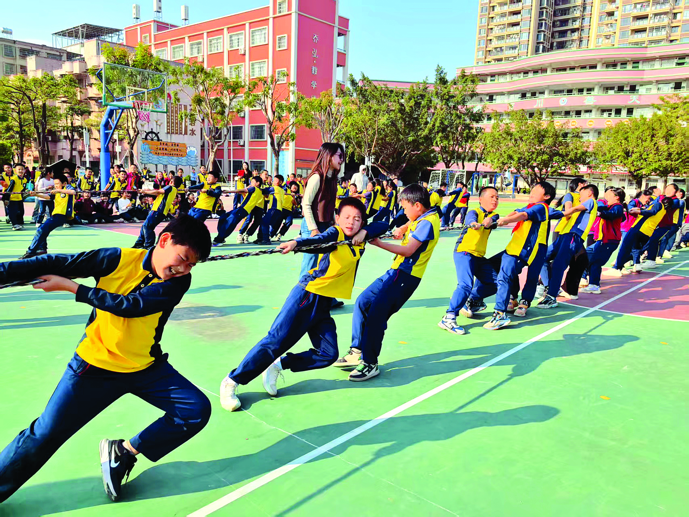     校园拔河比赛。