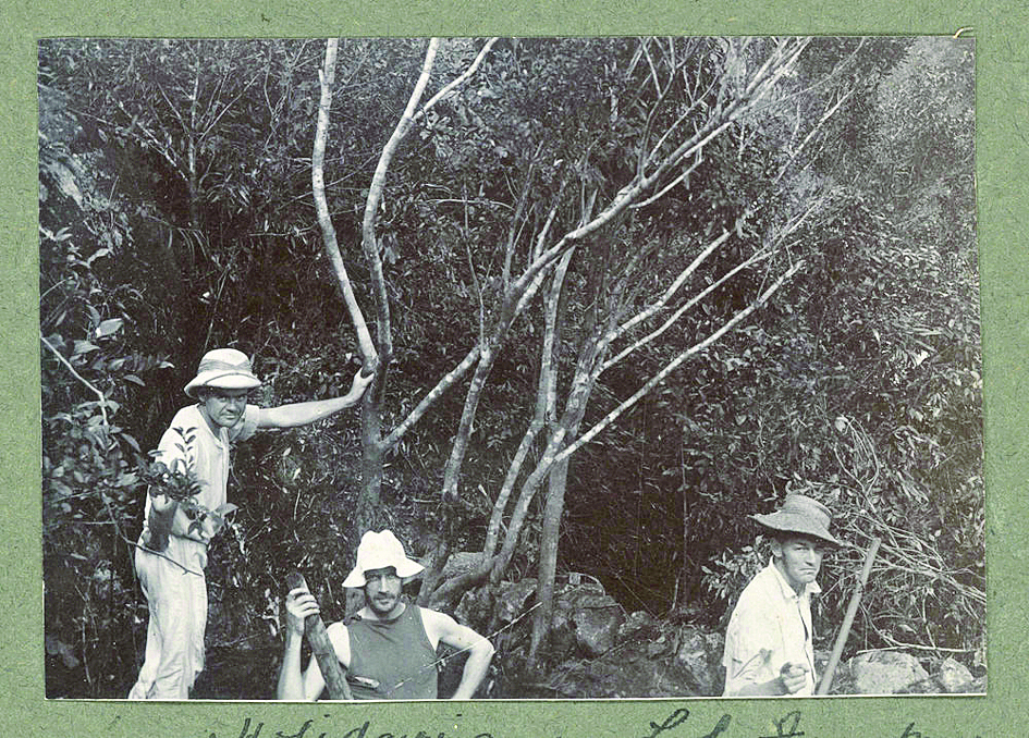     1911年，罗浮山已是外国人向往的避暑胜地。严艺超 翻拍