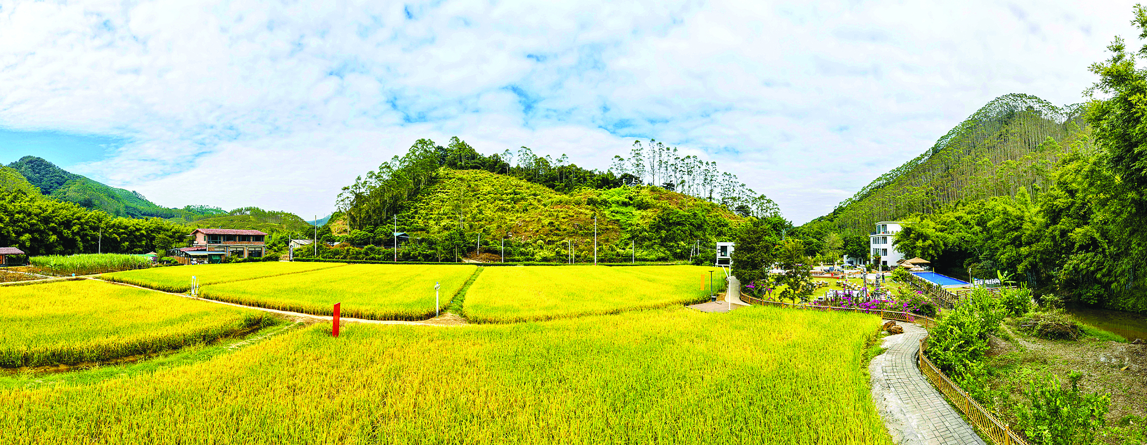     横河镇下河村环境宜人。