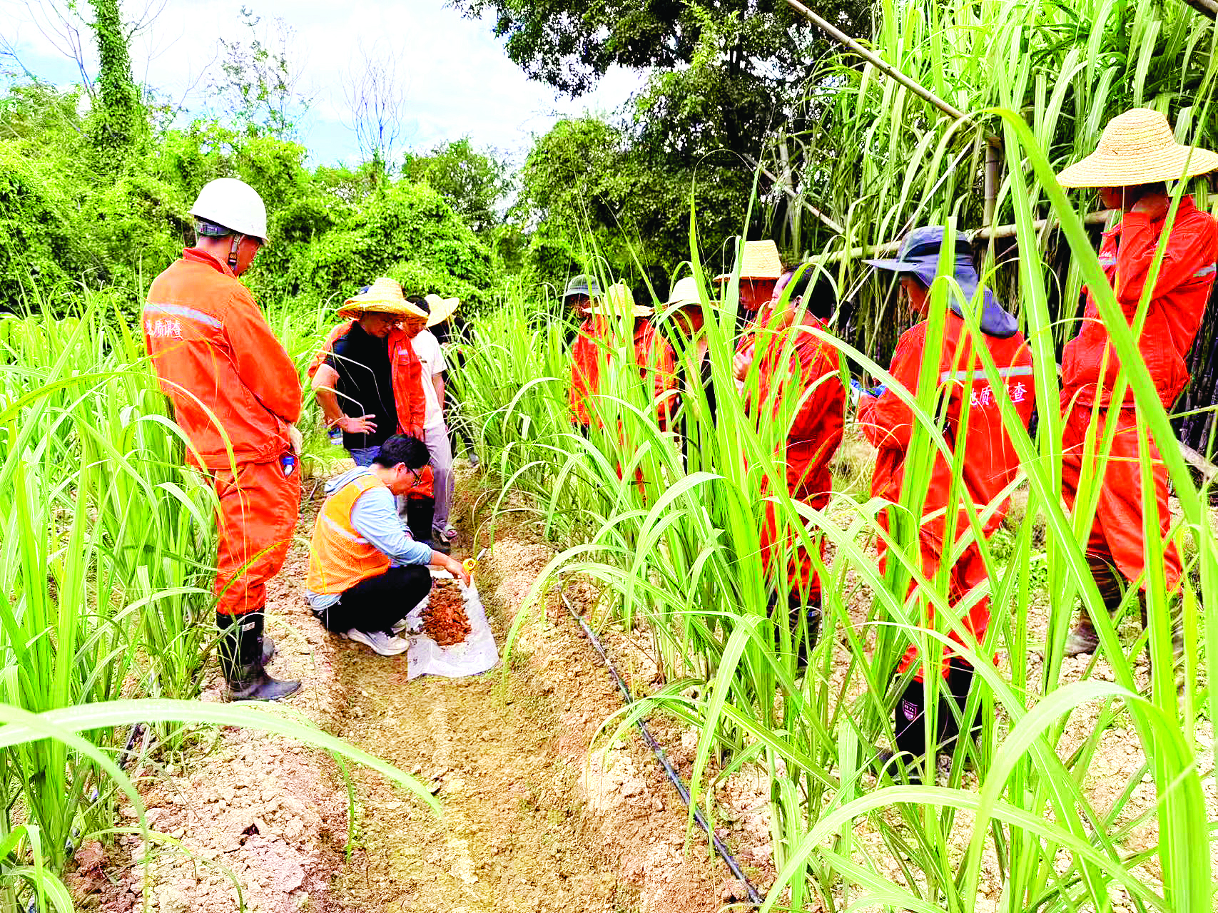 <p>    技术人员开展土壤采样培训。</p>