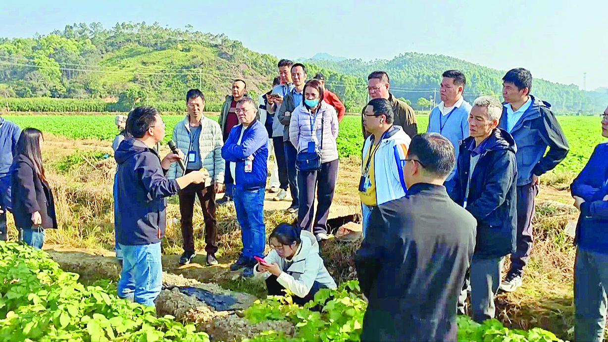     农技干部现场讲解病虫害防控知识。    惠州日报记者赖金朗 通讯员马观英 刘晓林 摄