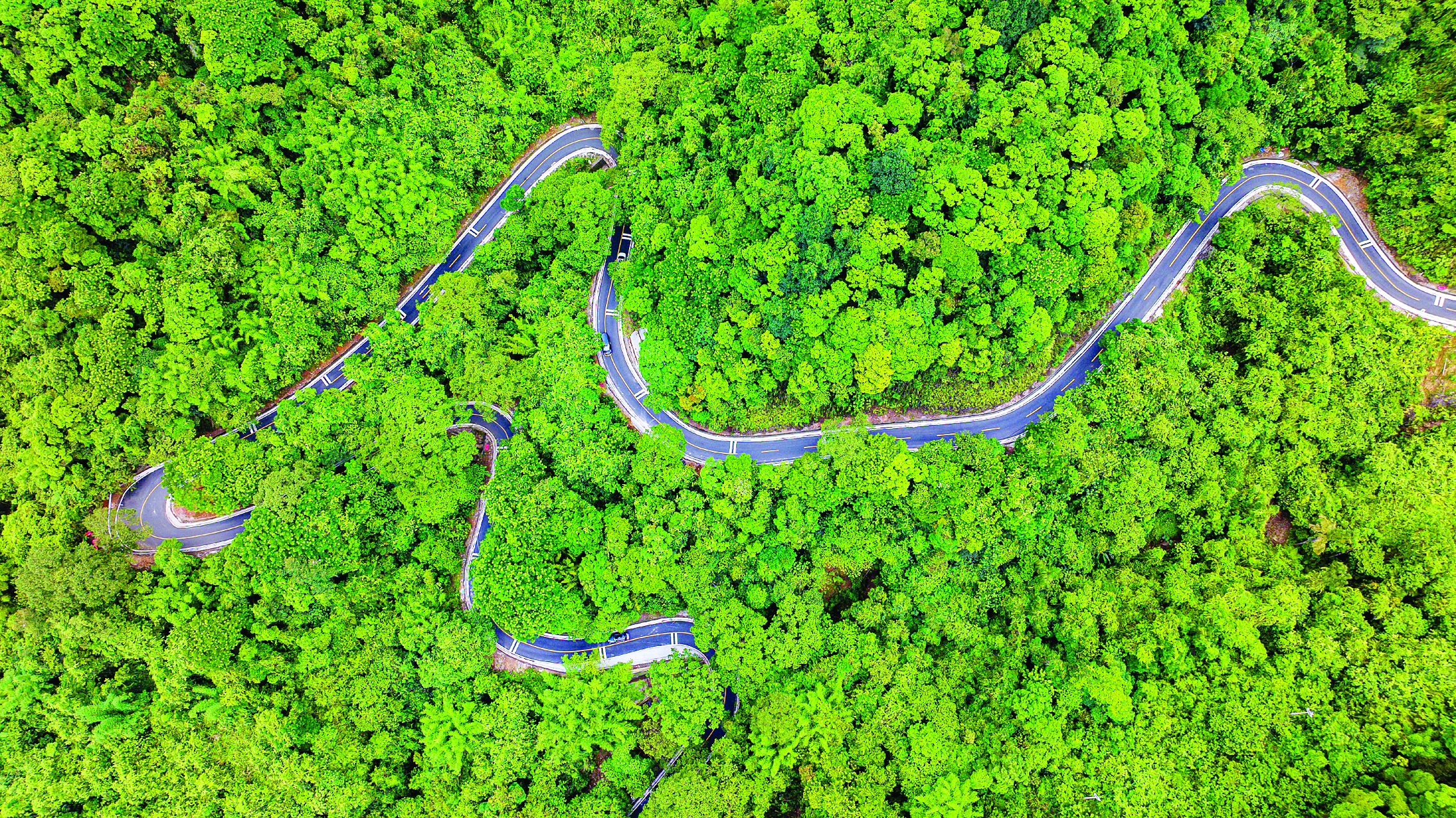     218最美旅游公路（博罗段）。