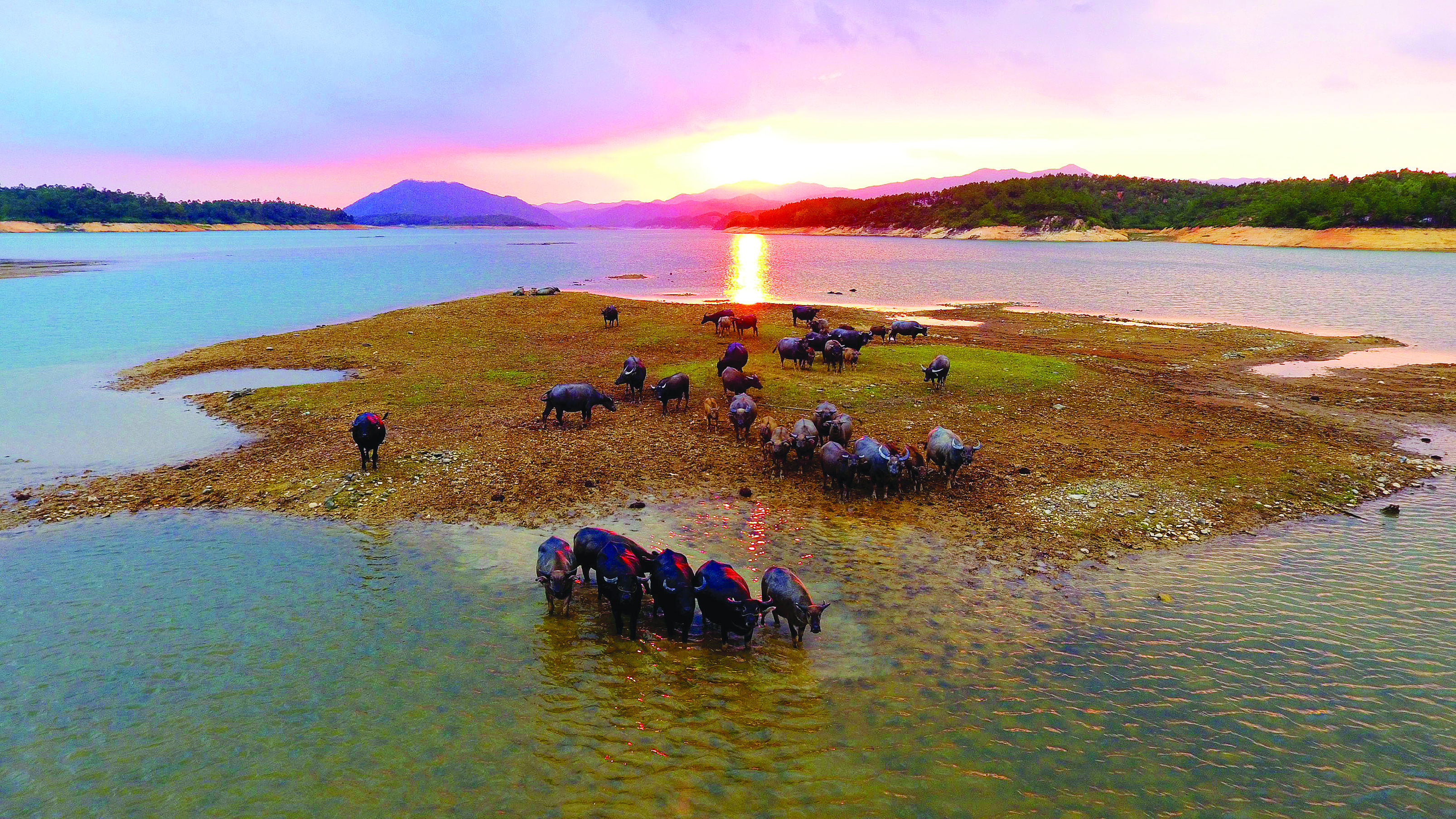     白盆珠水库风光。钟畅新 摄