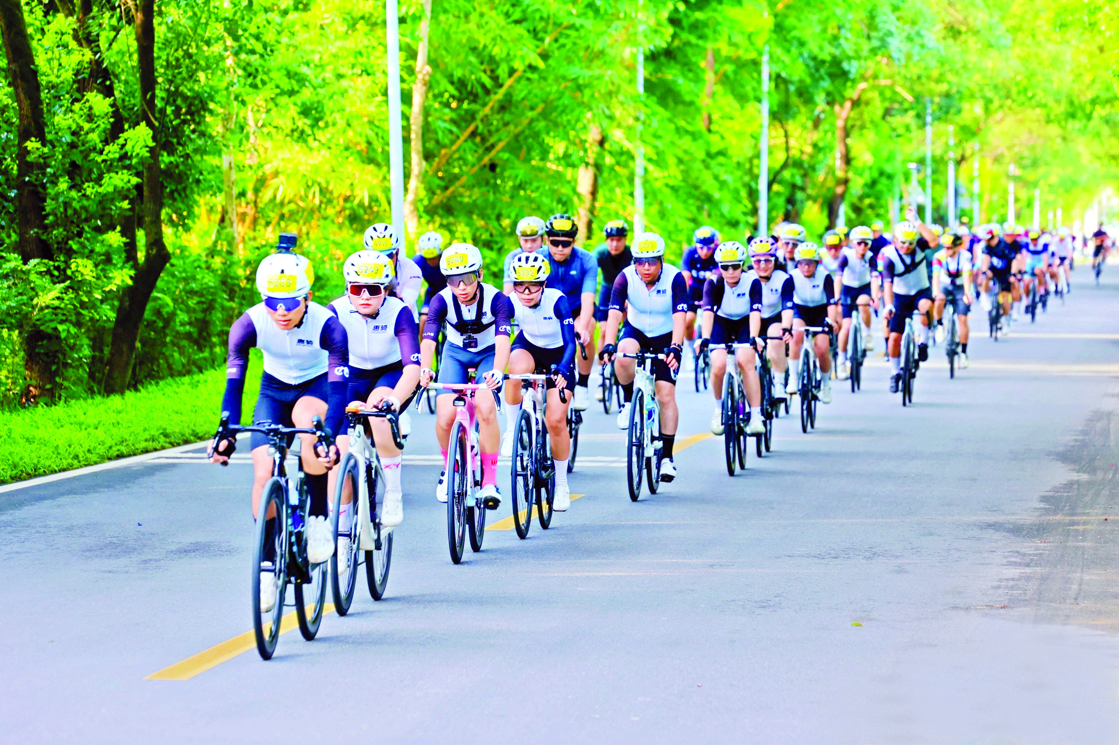 <p>    骑行爱好者在惠州享受低碳生活。</p>