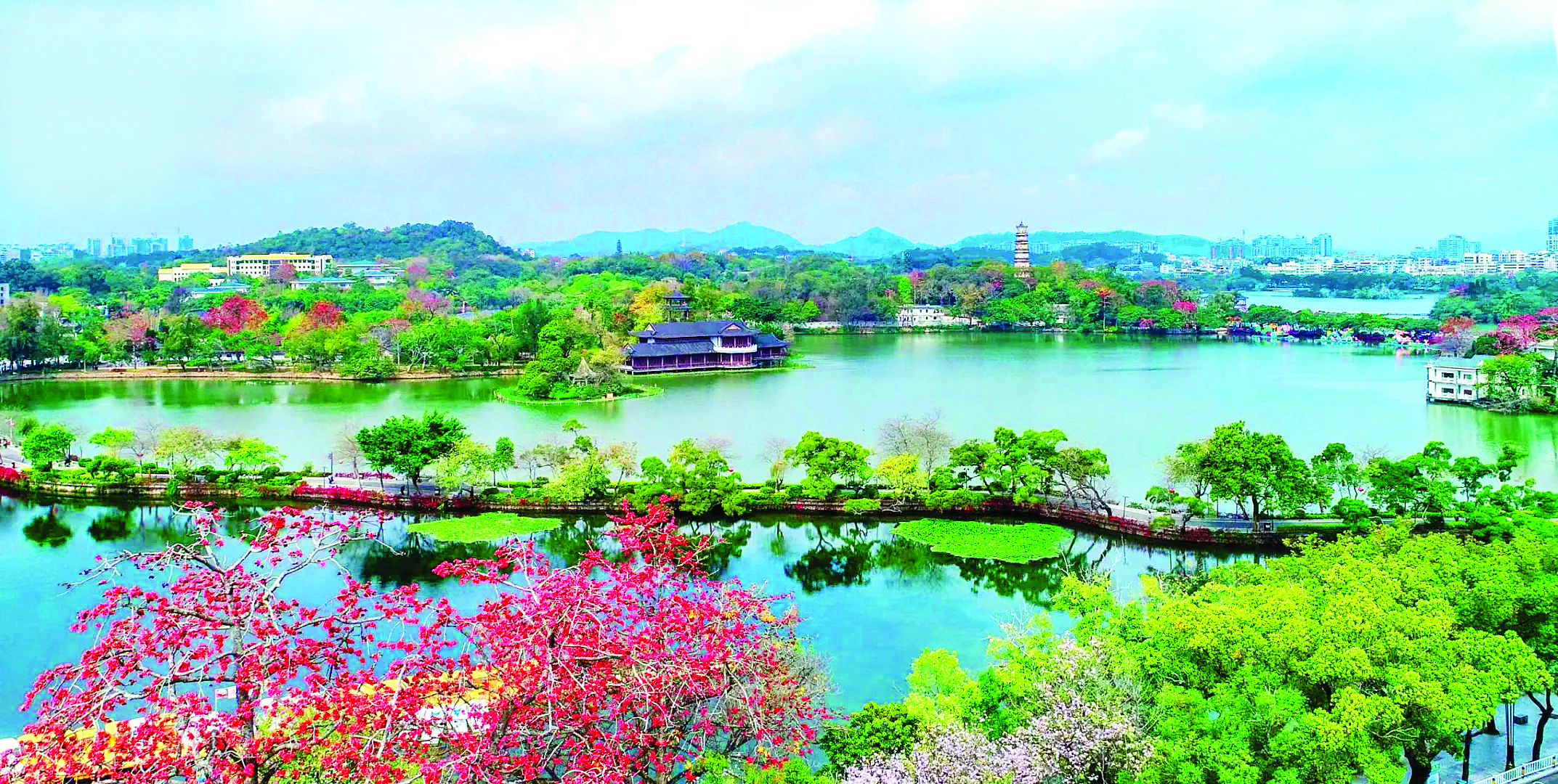 <p>    水清岸绿，惠州西湖尽显生态之美。</p>