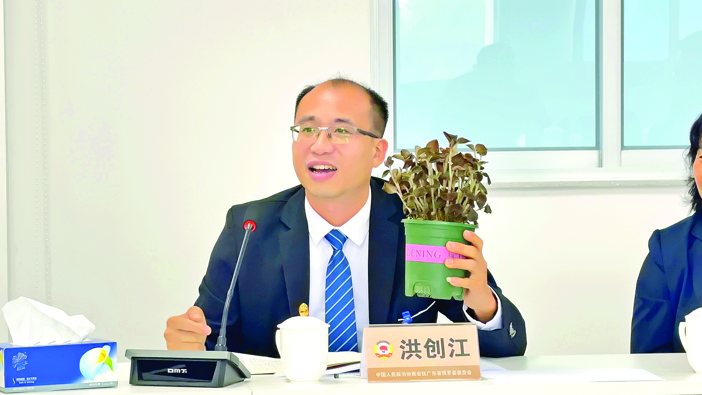     县政协委员洪创江推介金线莲。