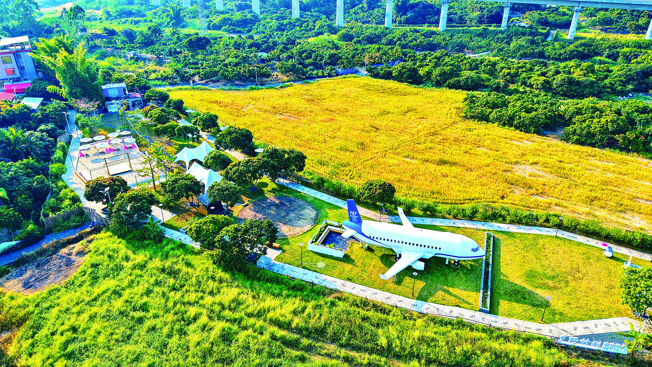     君子营村“飞机餐厅”。惠州日报记者邱舒婷 通讯员沥林宣 摄