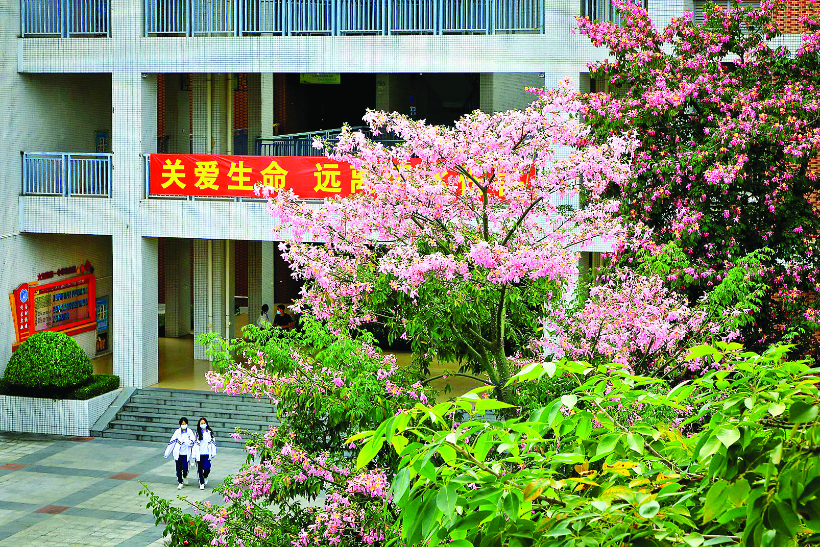     这里的一草一木都在默默陪伴、见证学子成长的每一步。