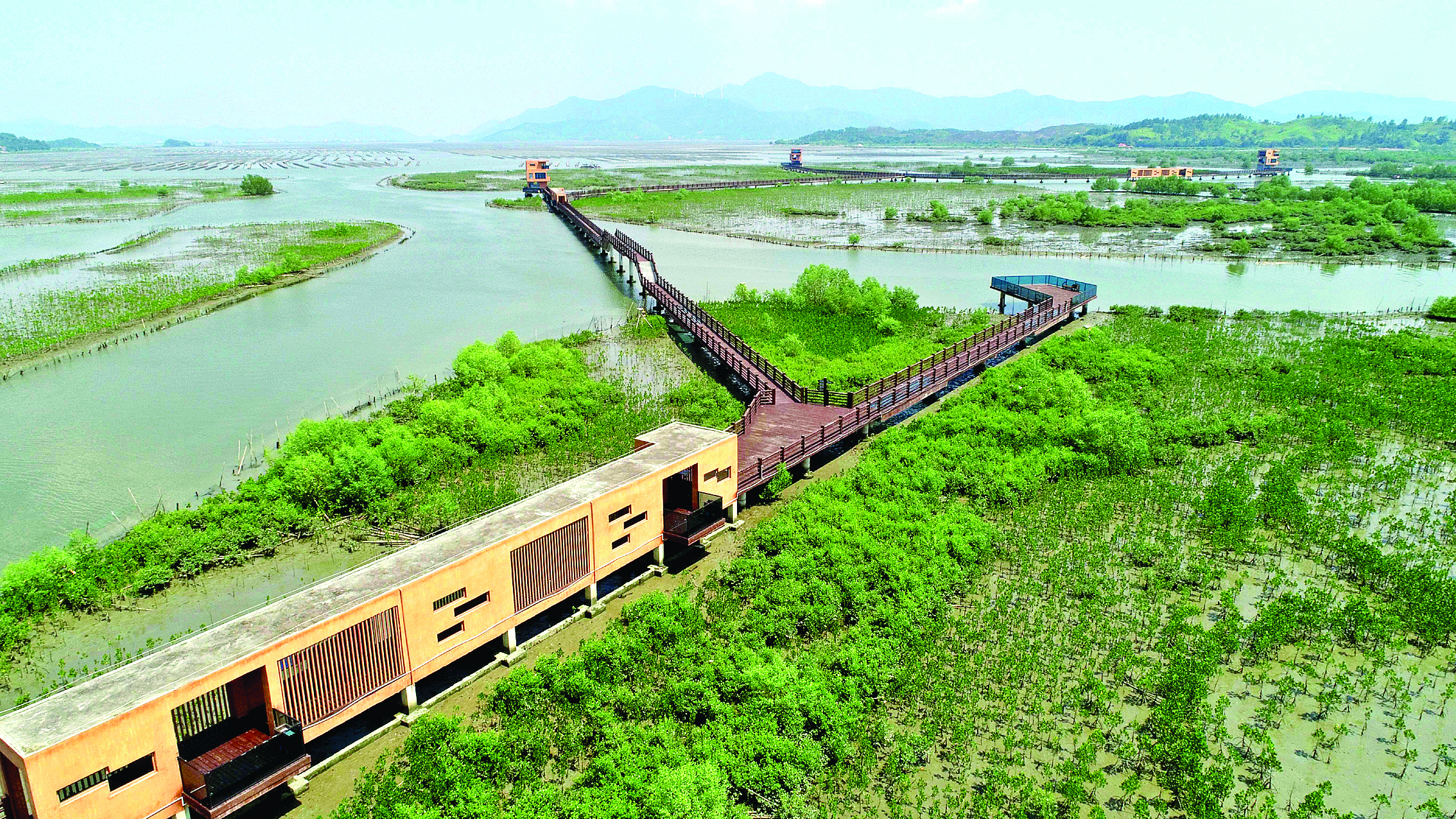     惠州好招楼湿地公园。惠州日报记者杨建业 摄