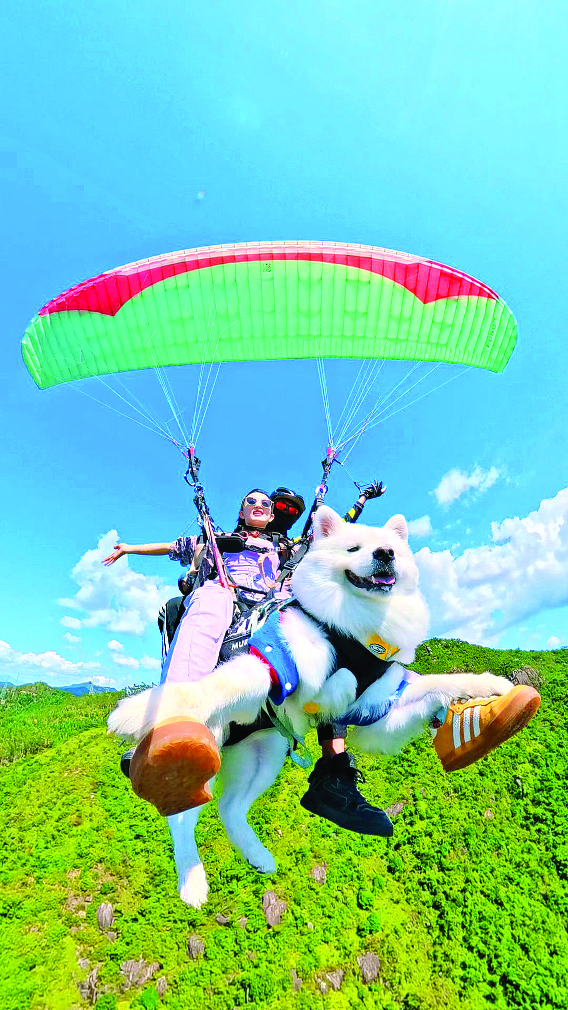     惠东巽寮湾滑翔伞项目吸引了不少游客前来体验“空中漫步”的乐趣。