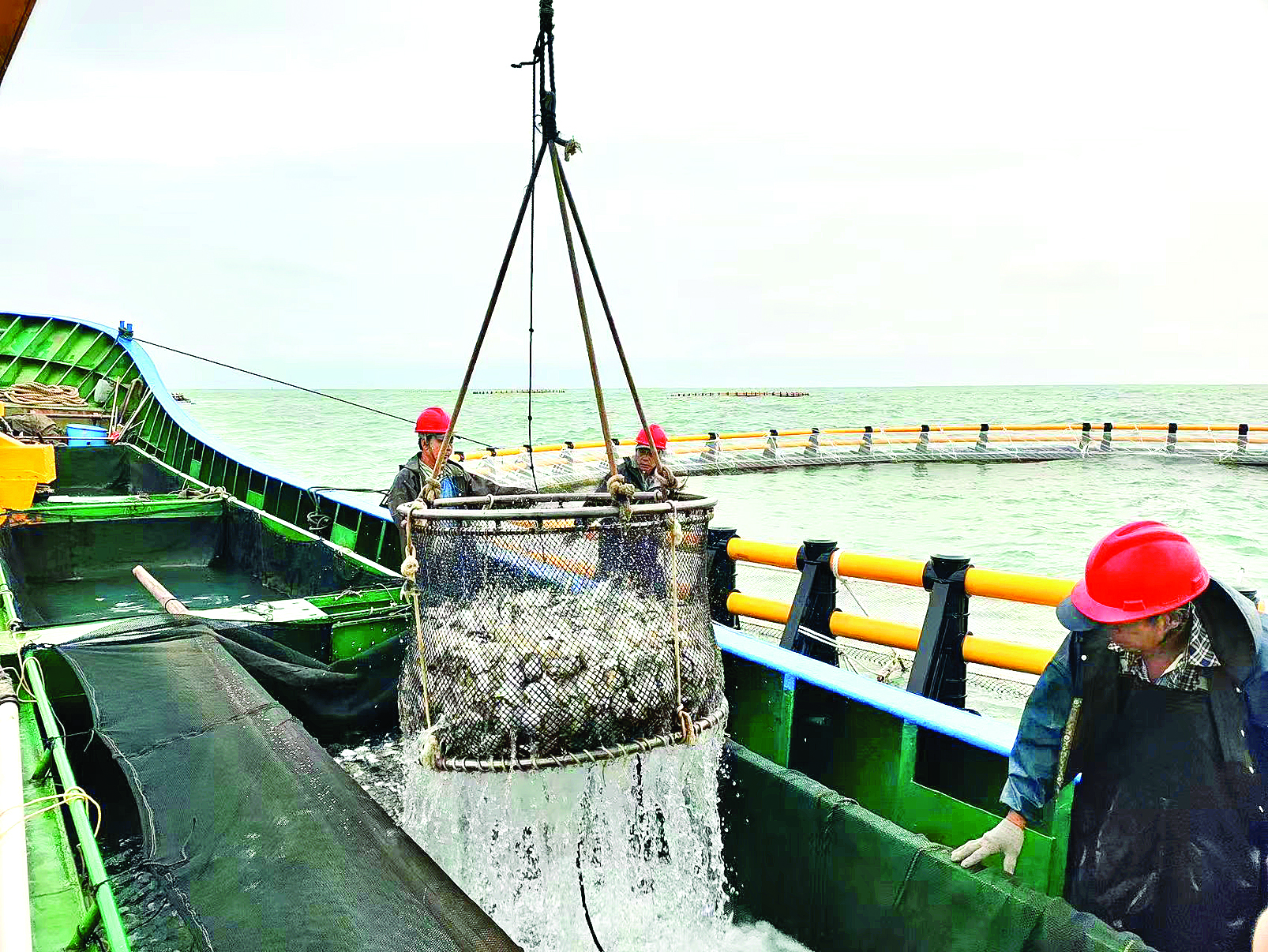     惠东港口的深远海养殖测试基地。    本版图片 东江图片社供图