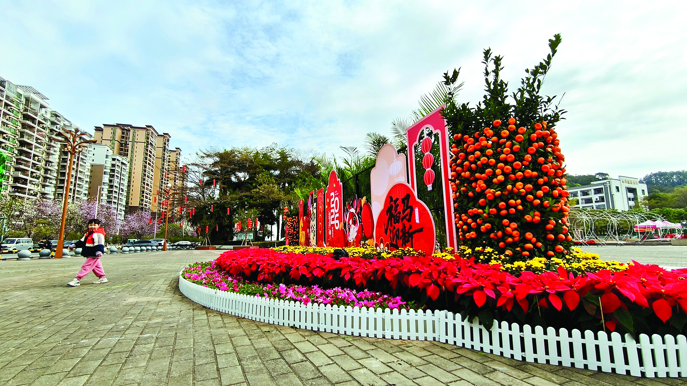     东山公园摆上各类花卉，新年氛围拉满。