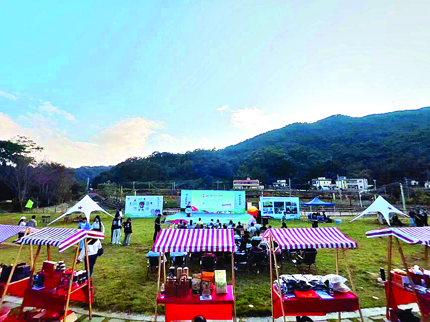     中洞红都星空营地。