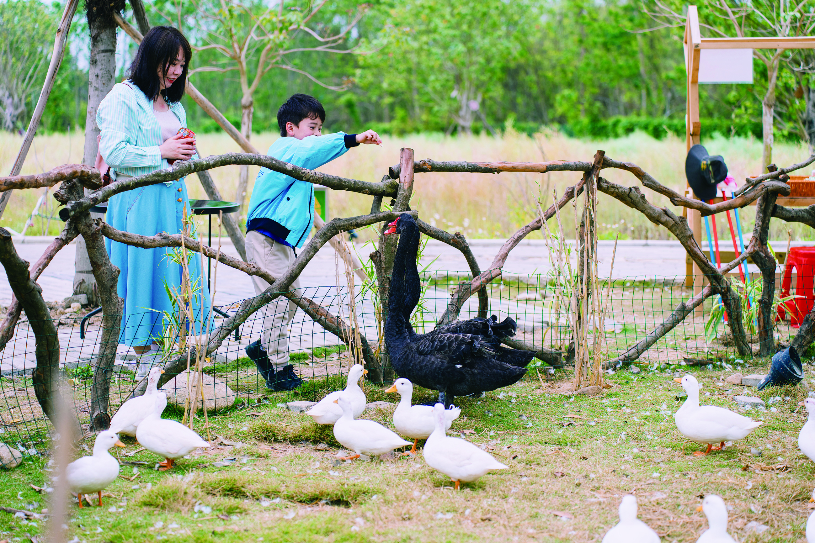     浮生六季生态园。