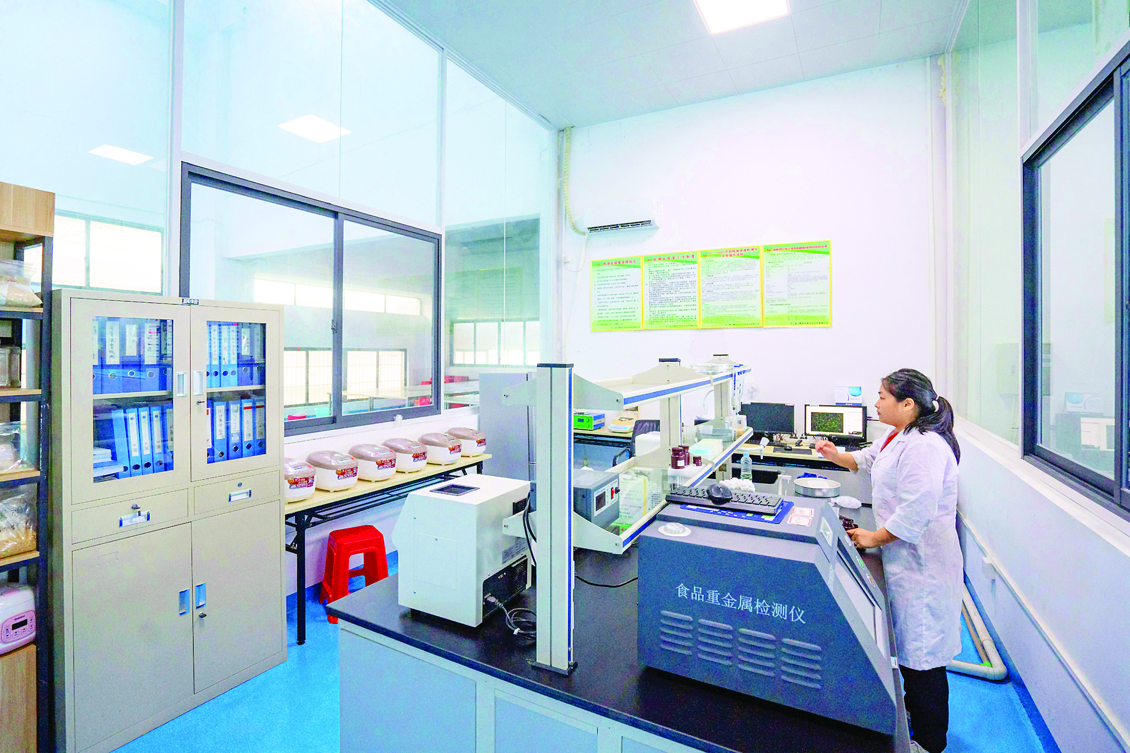     龙门县丝苗米省级现代农业产业园内，工作人员对大米进行检测。