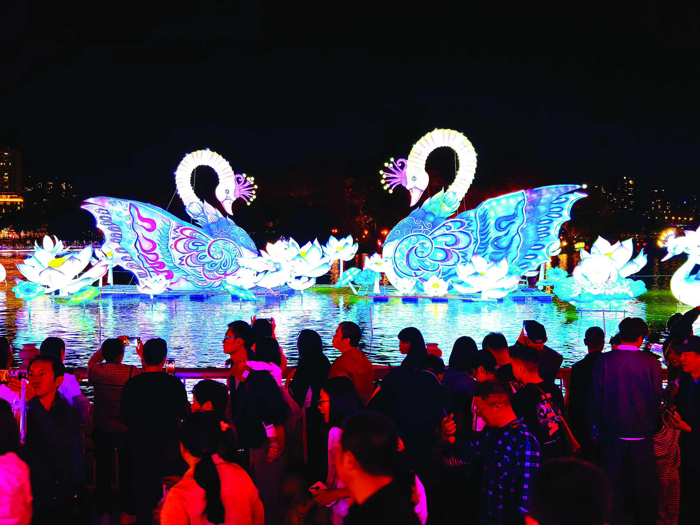     《梦起鹅城》灯组的鹅形象花灯绚丽多彩。