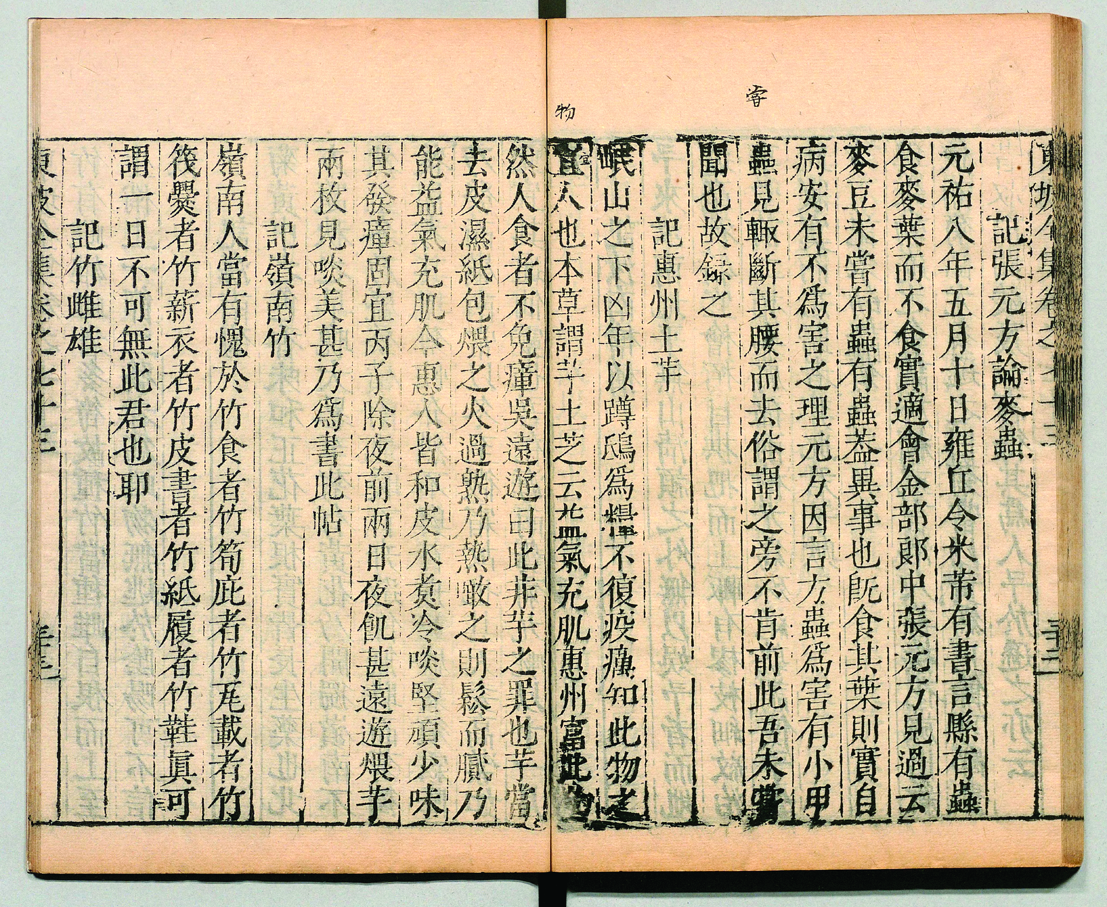 <p>    明刻本《东坡先生全集》中的《记惠州土芋》。侯县军 翻拍</p>