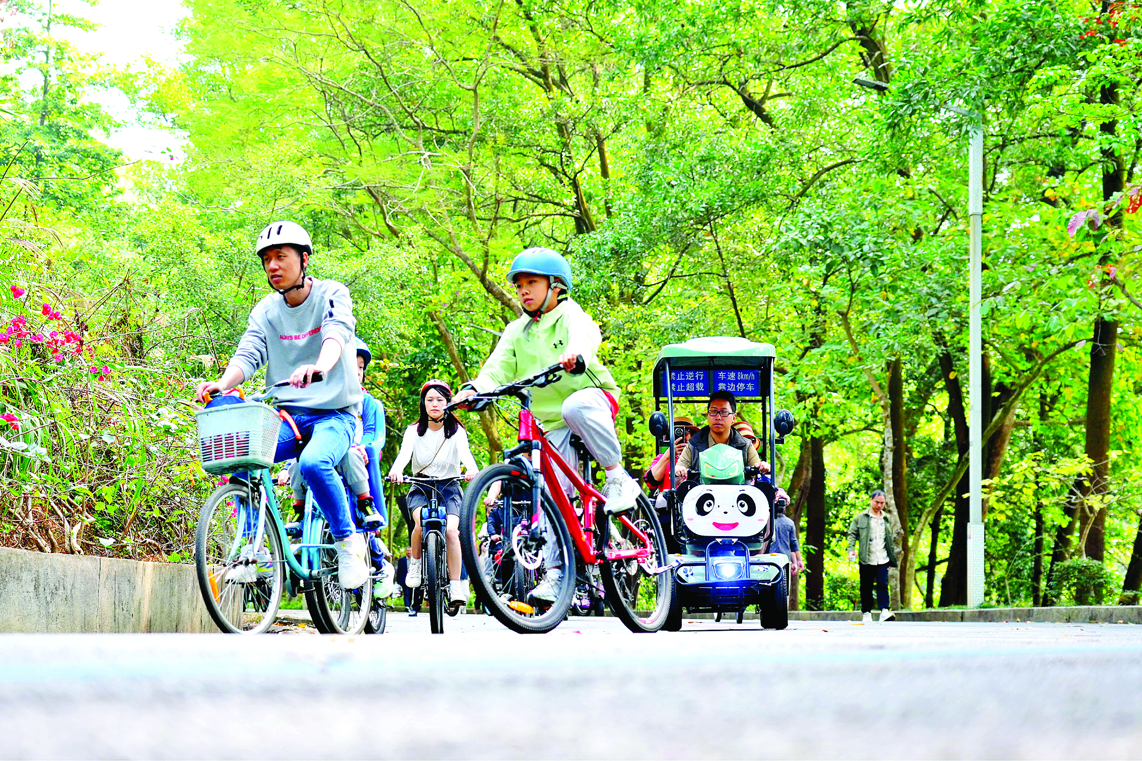 <p>    红花湖景区18公里环湖绿道人气旺，运动过年成新风尚。惠州日报记者李苗 摄</p>