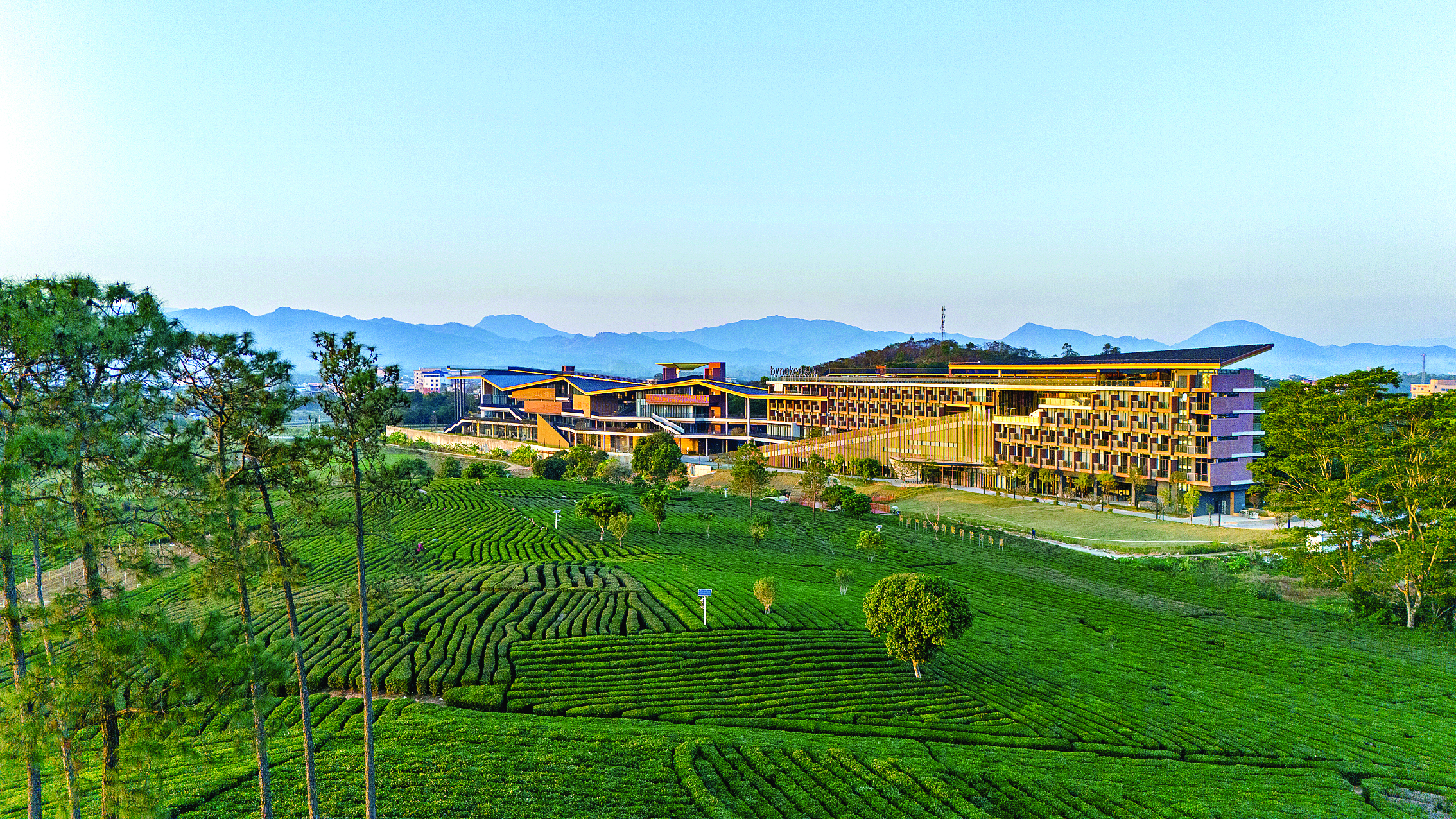     惠州市博罗县柏塘镇“万亩茶园”内的裸心（惠州）项目通过“国企投资+高端品牌运营”模式，探索乡村振兴新路径。惠州日报记者游璇钰 通讯员徐晨 摄