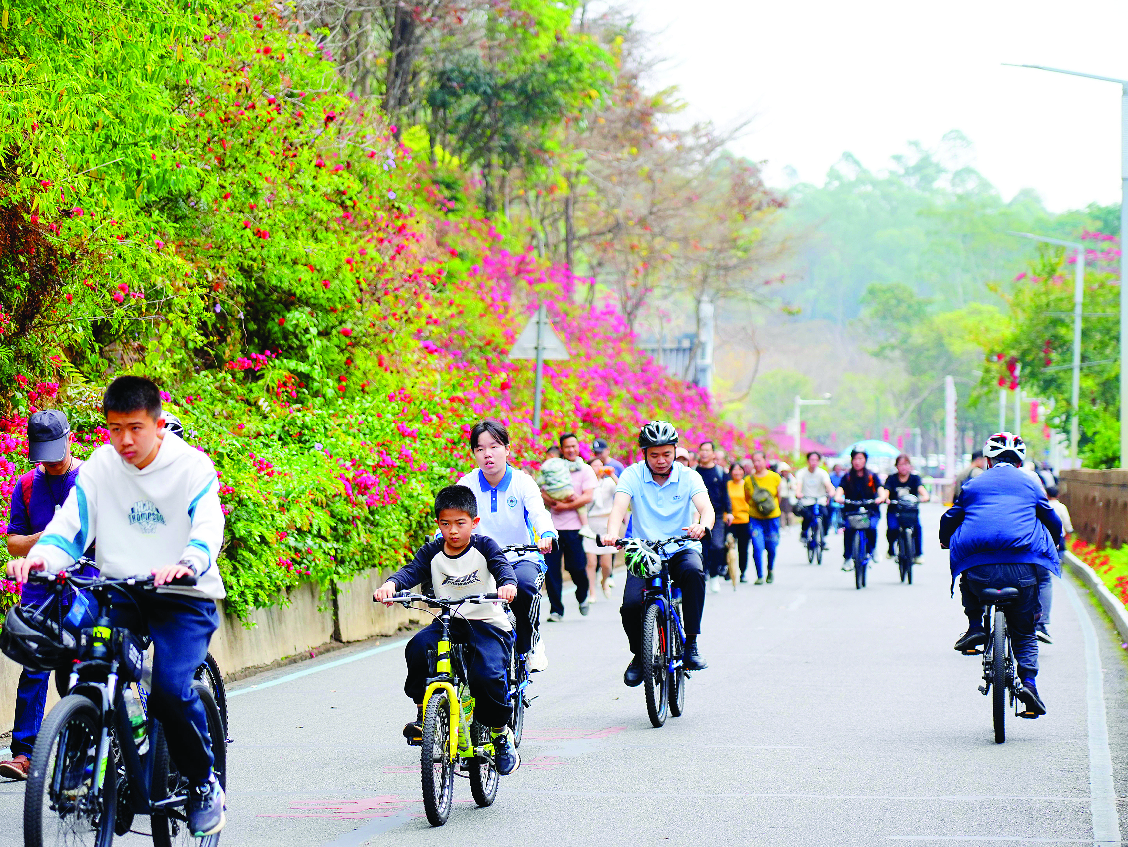     红花湖骑行的人们。    惠州日报记者李苗 摄
