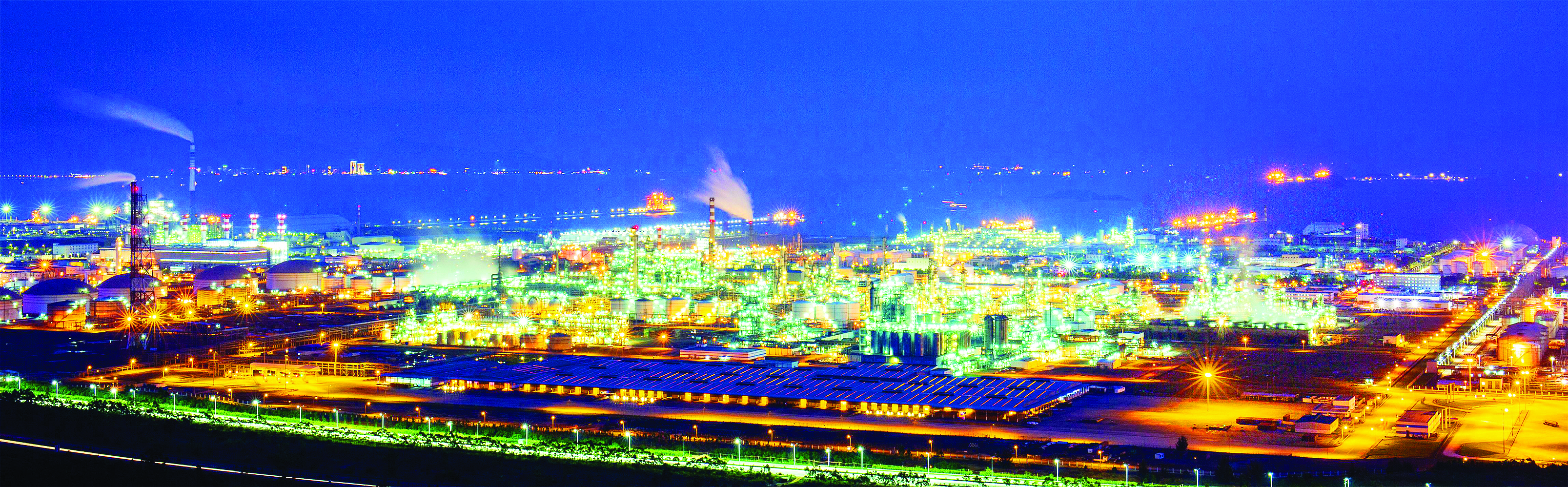     大亚湾石化区夜景。  惠州东江图片社供图