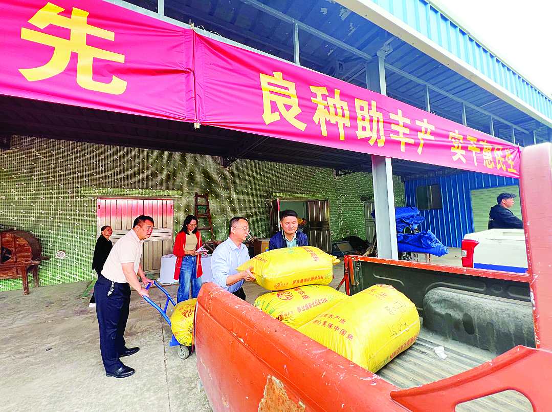     惠阳免费向农户发放优质稻种。    惠州日报记者黄尉宏 摄