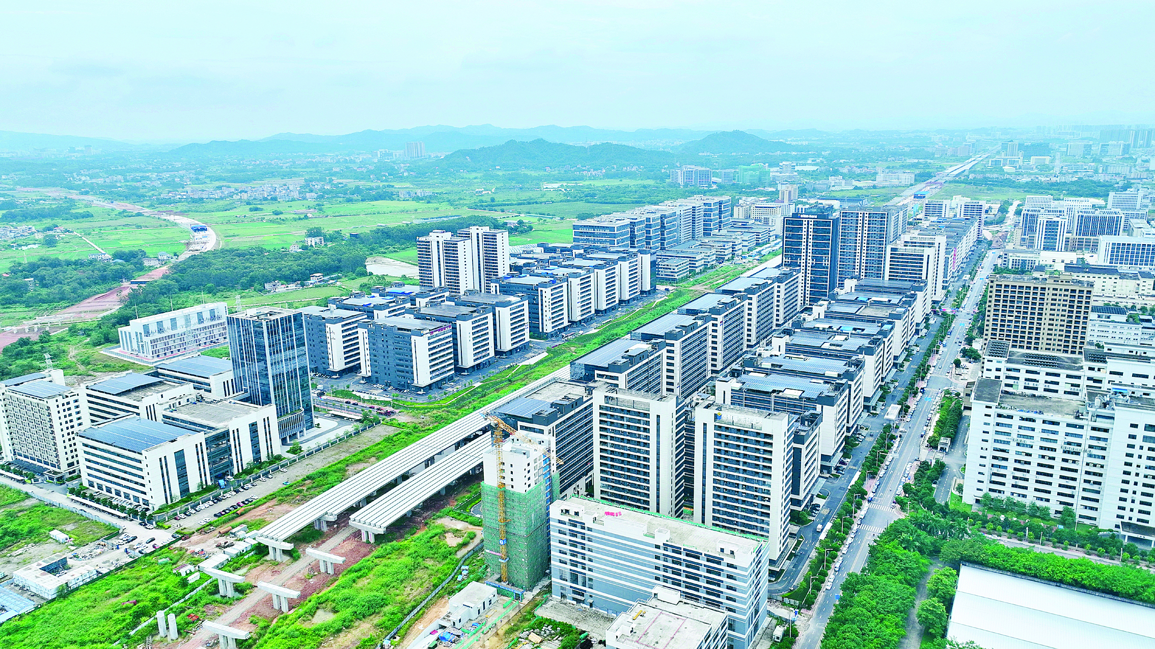     惠城高新区。惠州日报记者谢菁菁 通讯员林妙冠 摄