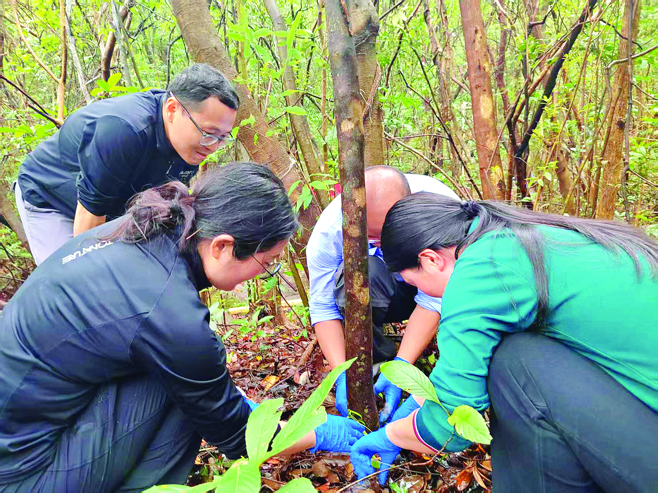     3月2日，市林业局联合深圳市兰科植物保护研究中心、广东象头山国家级自然保护区开展深圳香荚兰野外回归活动。