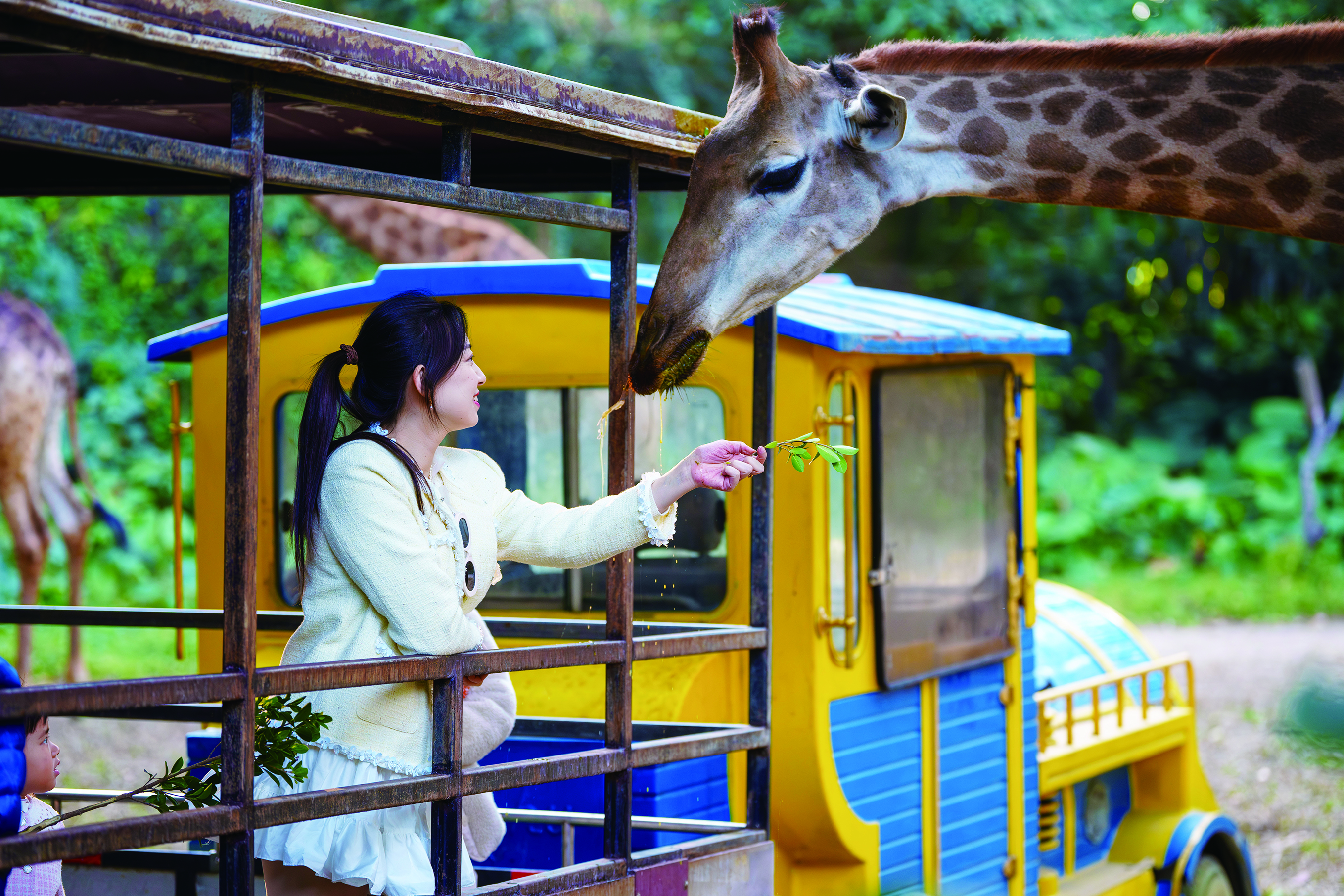     走进动物园感受互动的乐趣。