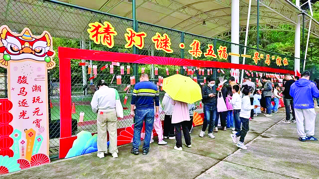     活动现场群众驻足猜灯谜。惠州日报记者蔡伟健 通讯员林益炫 赖悦晖 摄