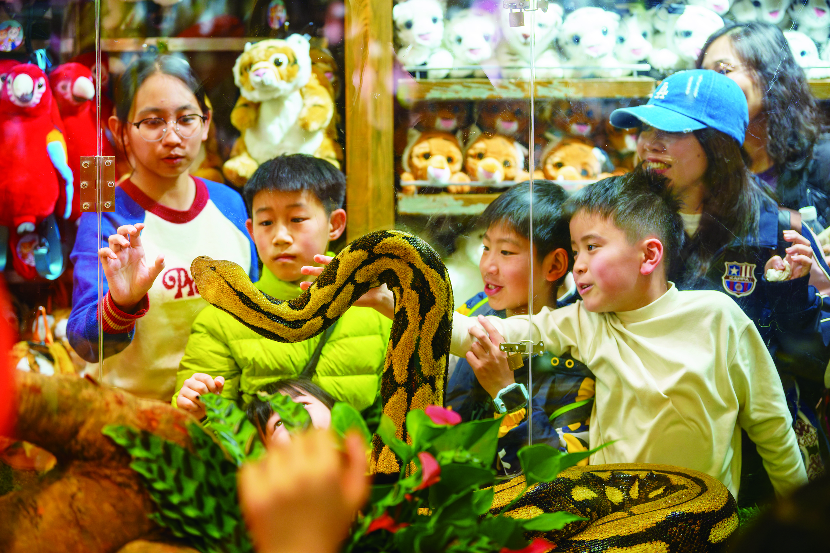     和动物互动，享受难忘的亲子时光。