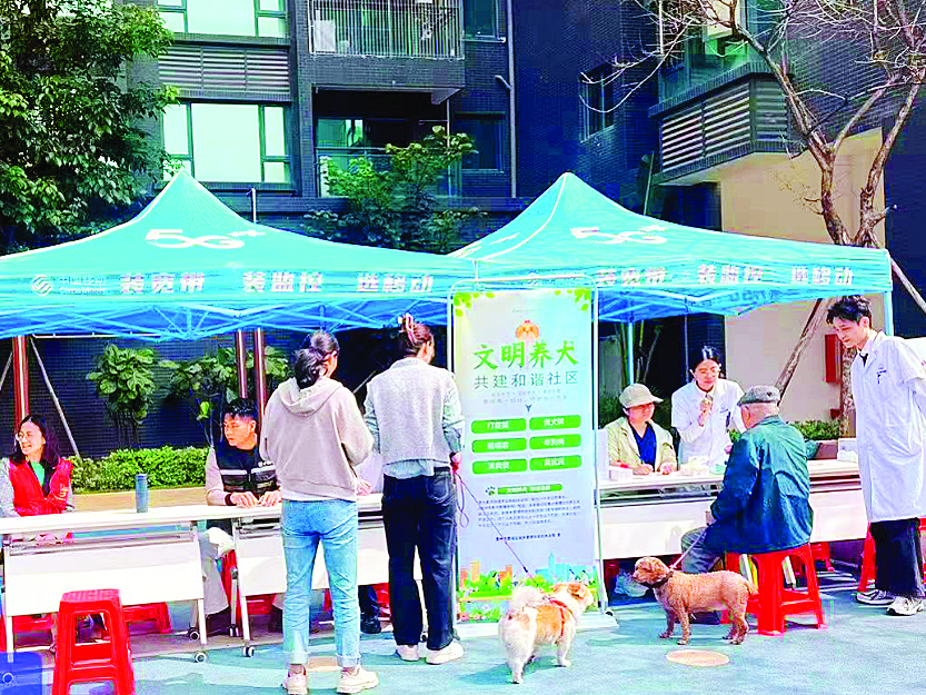     在市区鼎峰国汇山小区开展的文明养犬宣传活动。