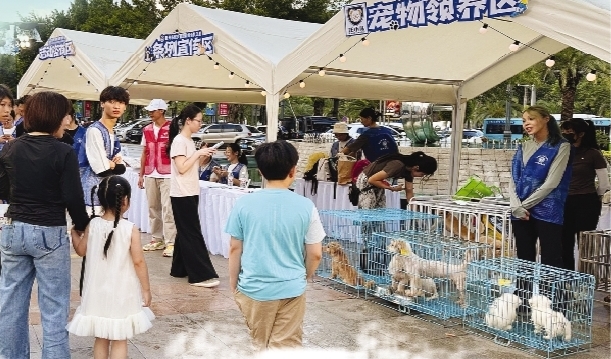     在市区江北丽日举行的文明养犬一站式上牌服务活动以及普法公益活动。  图片由“汪小队”提供