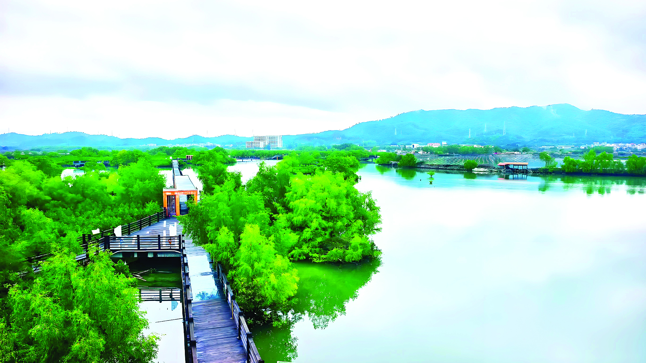     雨后的惠州好招楼湿地公园像一幅水墨画。梁毛记 摄