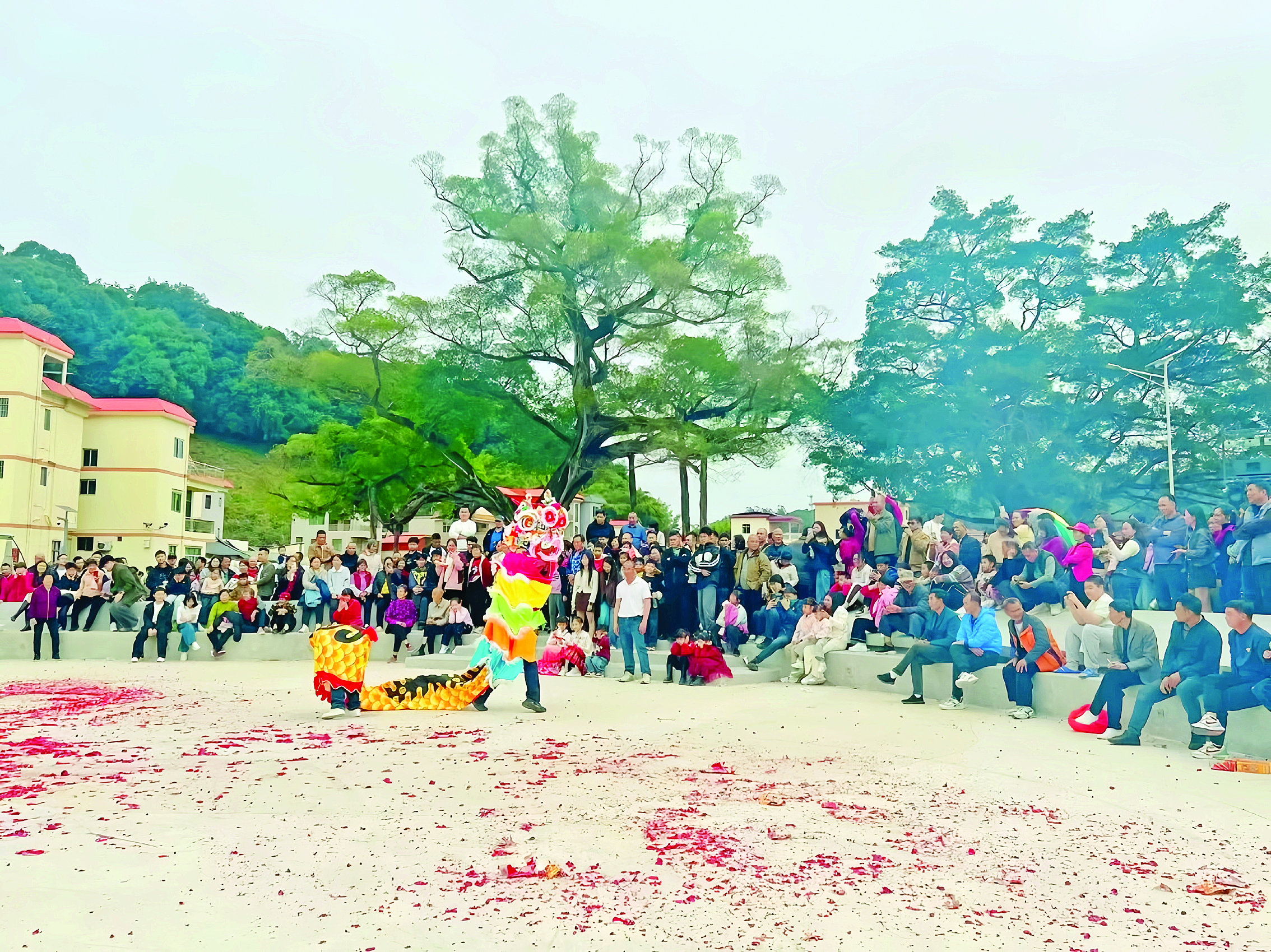     新春期间，麻榨镇中心村的千年古榕驿站游客络绎不绝。 本组图片 惠州日报记者黄宇翔 通讯员龙融心 摄