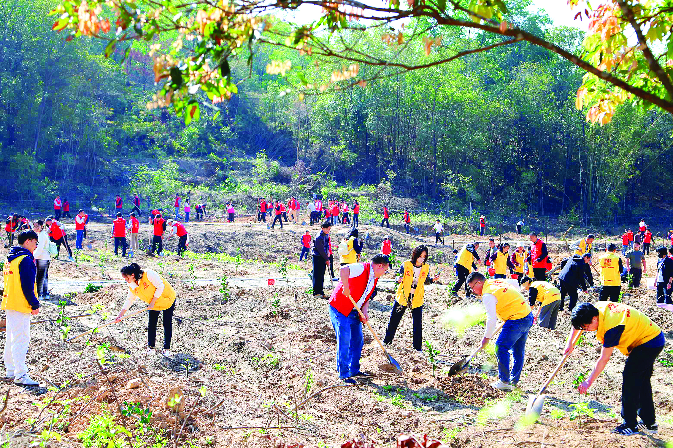     在第48个植树节来临之际，惠城区汝湖镇在上围村组织开展义务植树活动。    惠州日报记者彭红霞 通讯员何麒锋 叶耀 摄
