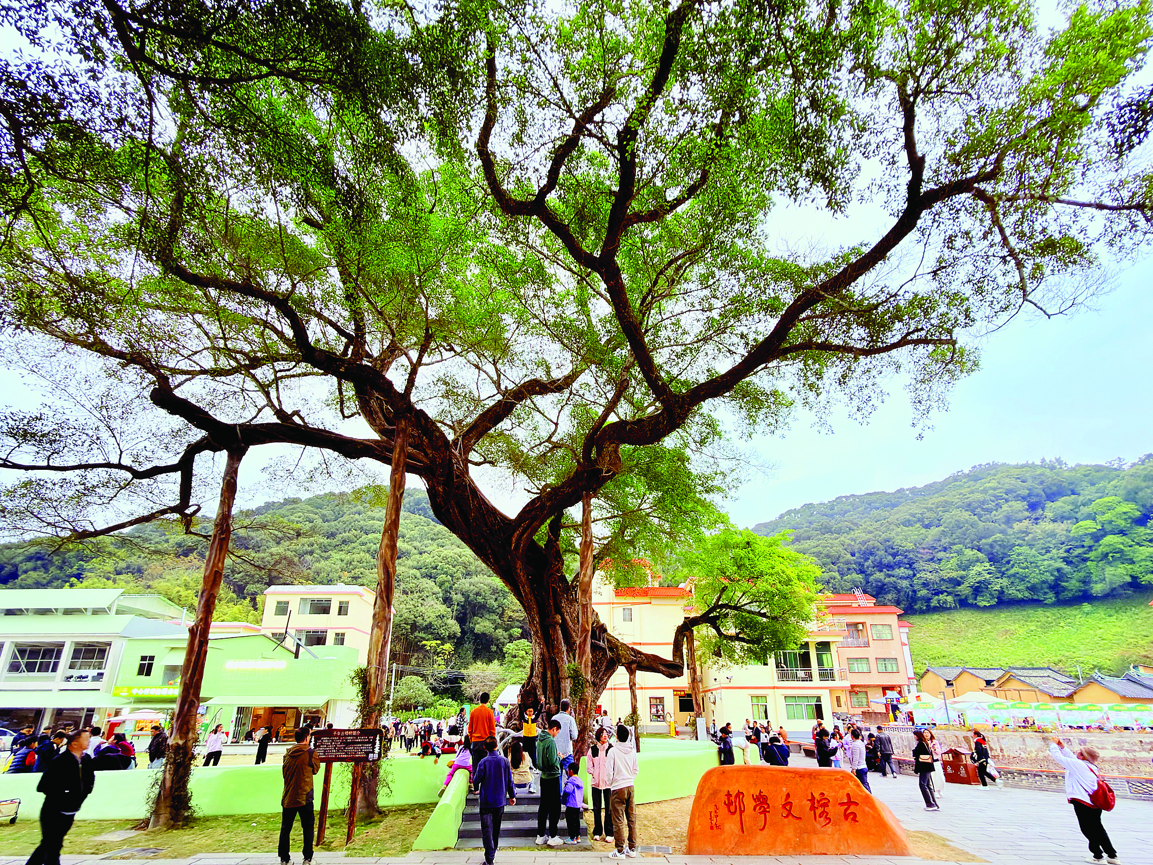     “古榕文学村”里游客络绎不绝。
