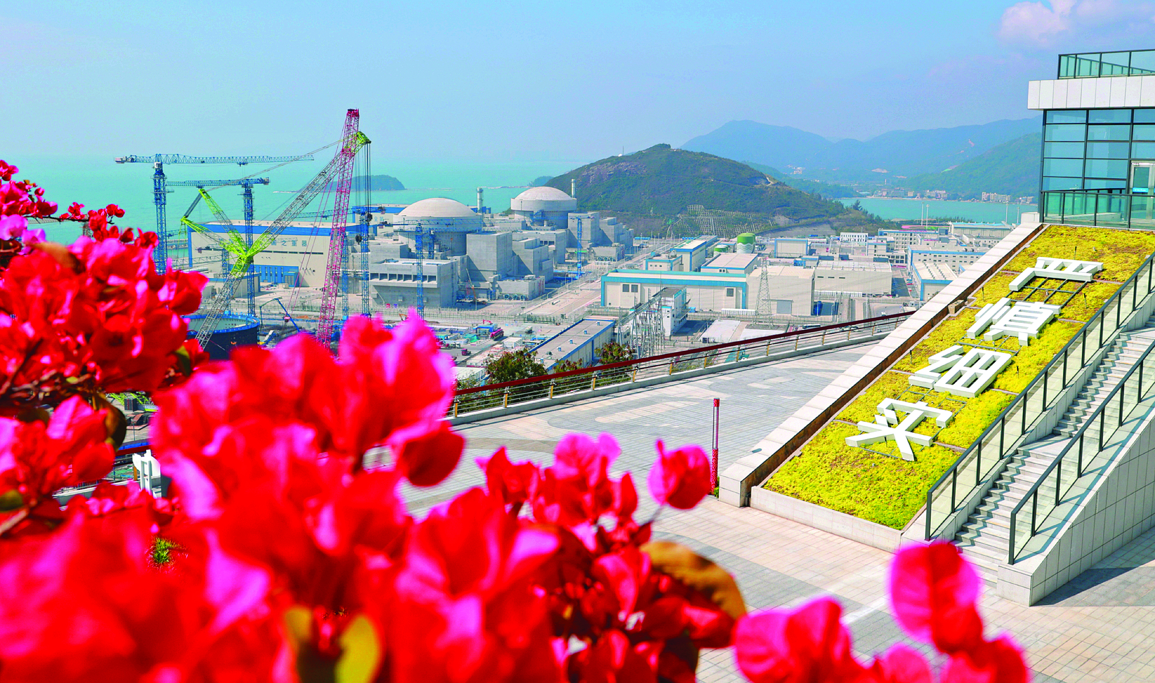     繁花映海，核电筑梦，三角梅燃成簇簇火焰，与漫山新绿相映成诗。惠州日报记者谢宝树 通讯员杨文远 柯勇初 摄